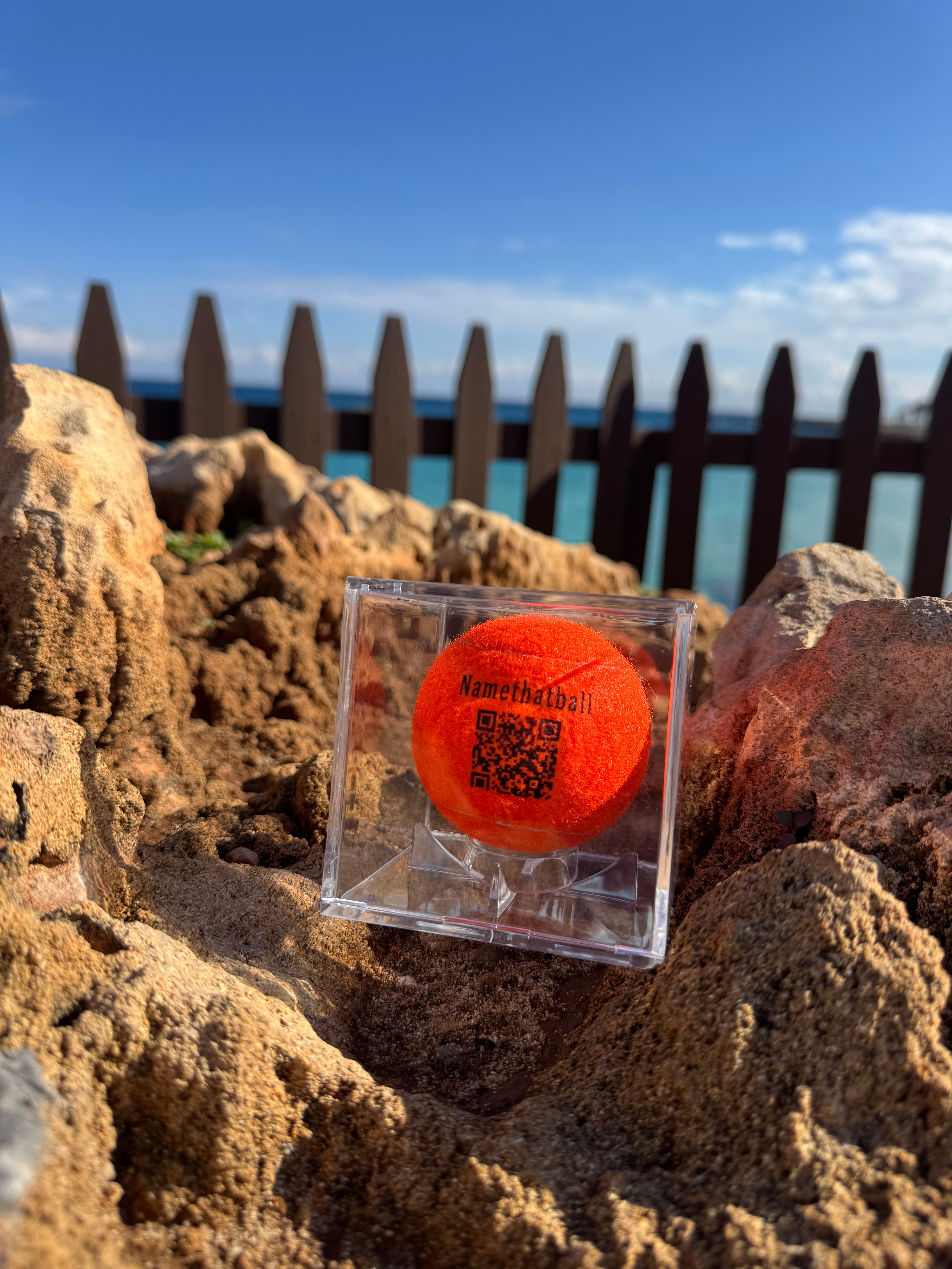 Custom padel balls trophy case
