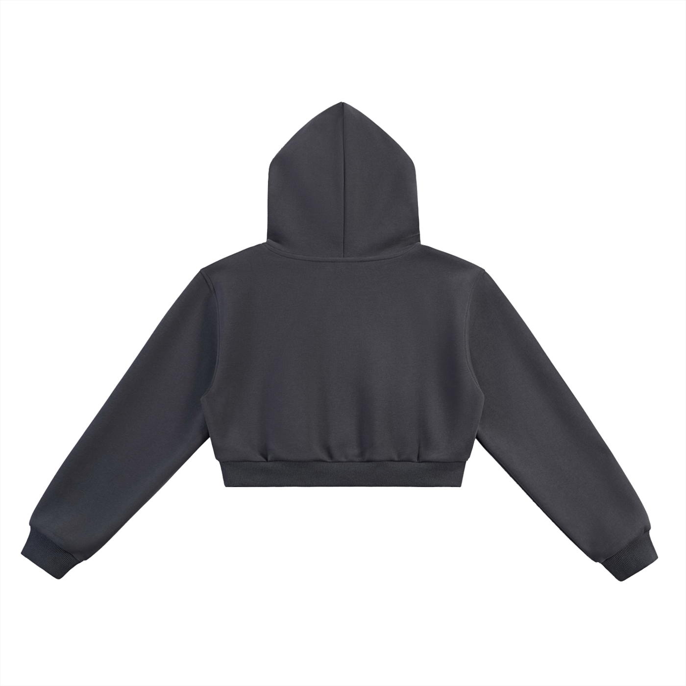 Padelism Wellness Club Cropped Hoodie