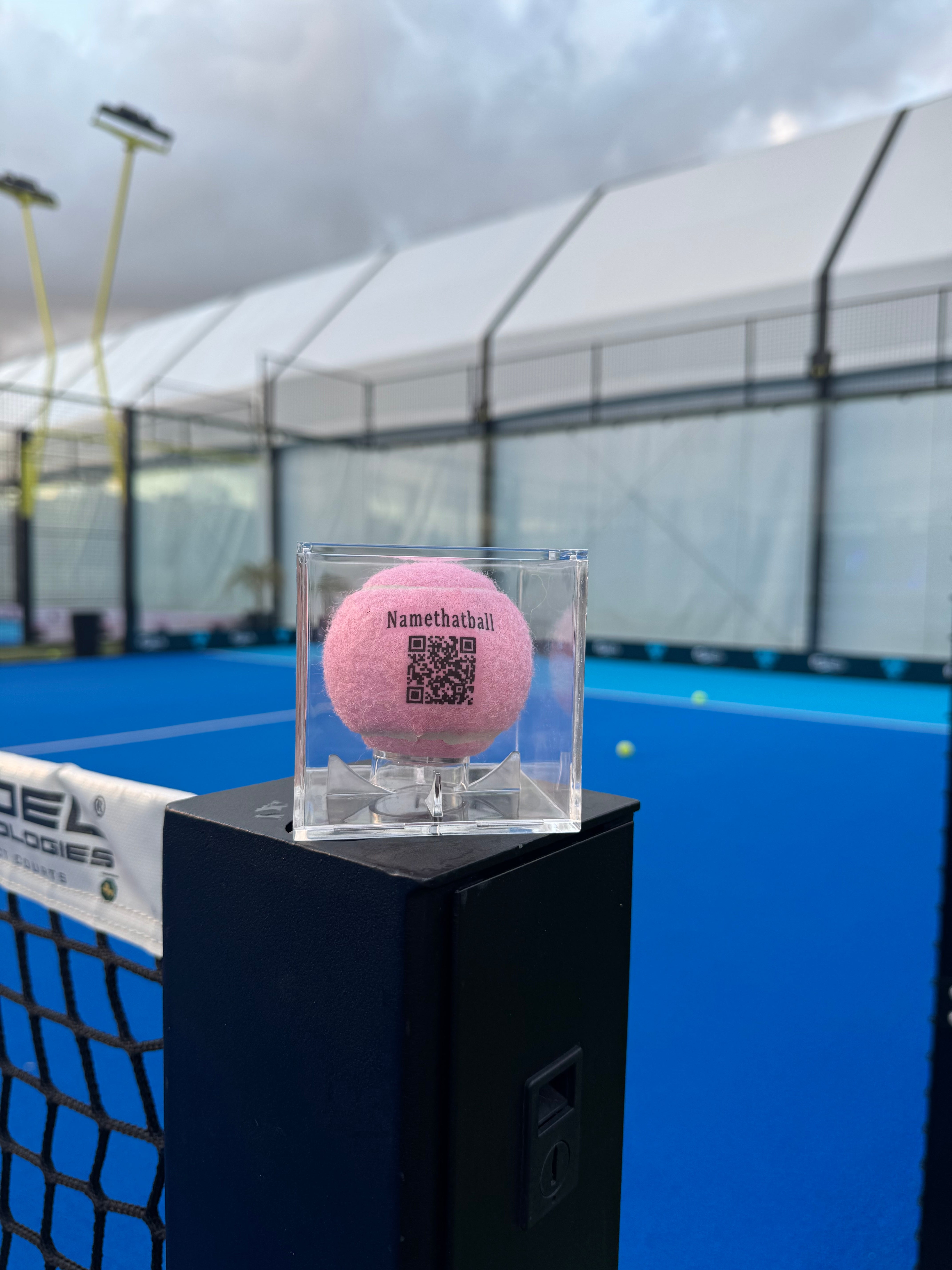 Custom padel balls trophy case